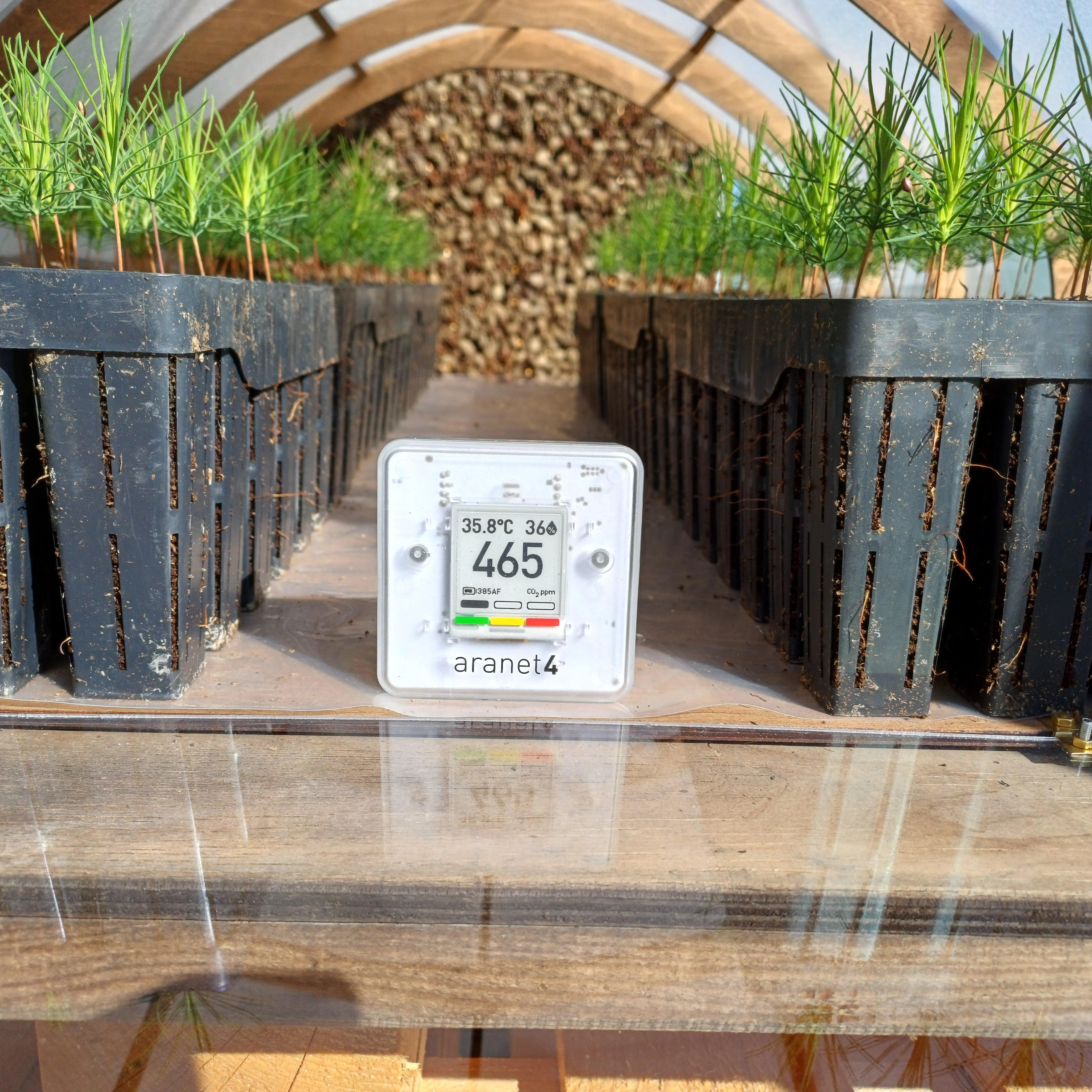 Aranet4 at Forest Days: Measuring CO2 Capture