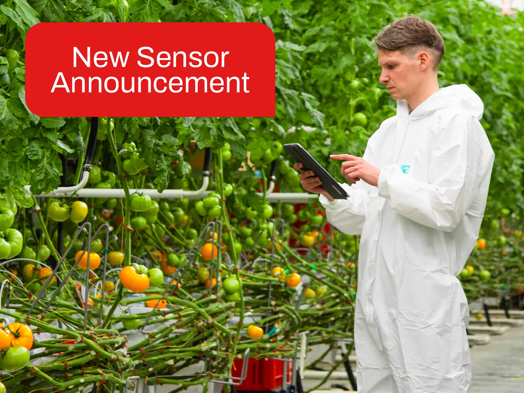 Aranet Launches Three New Wireless Sensors for Greenhouses