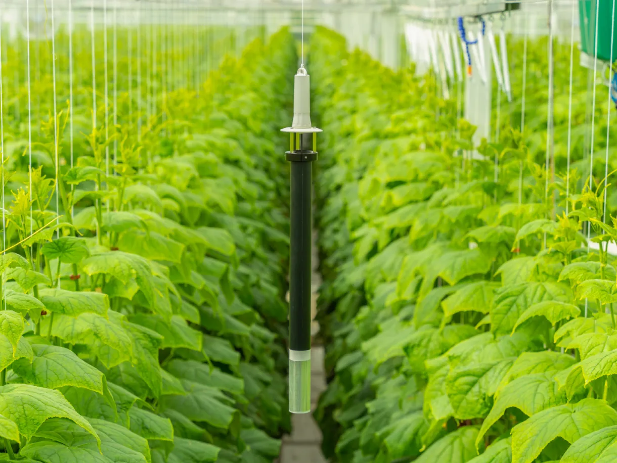 Horticulture_2