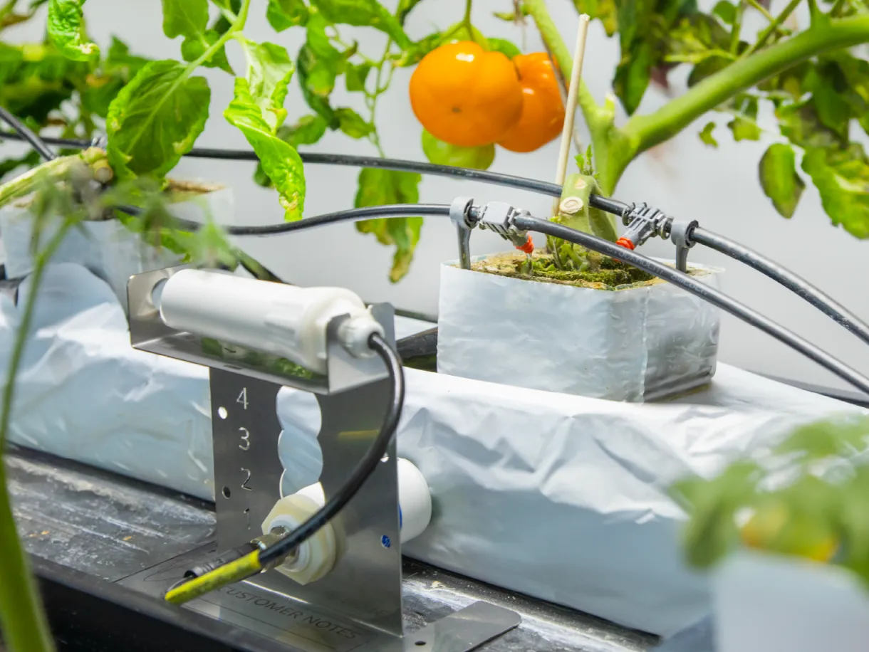 Horticulture_4