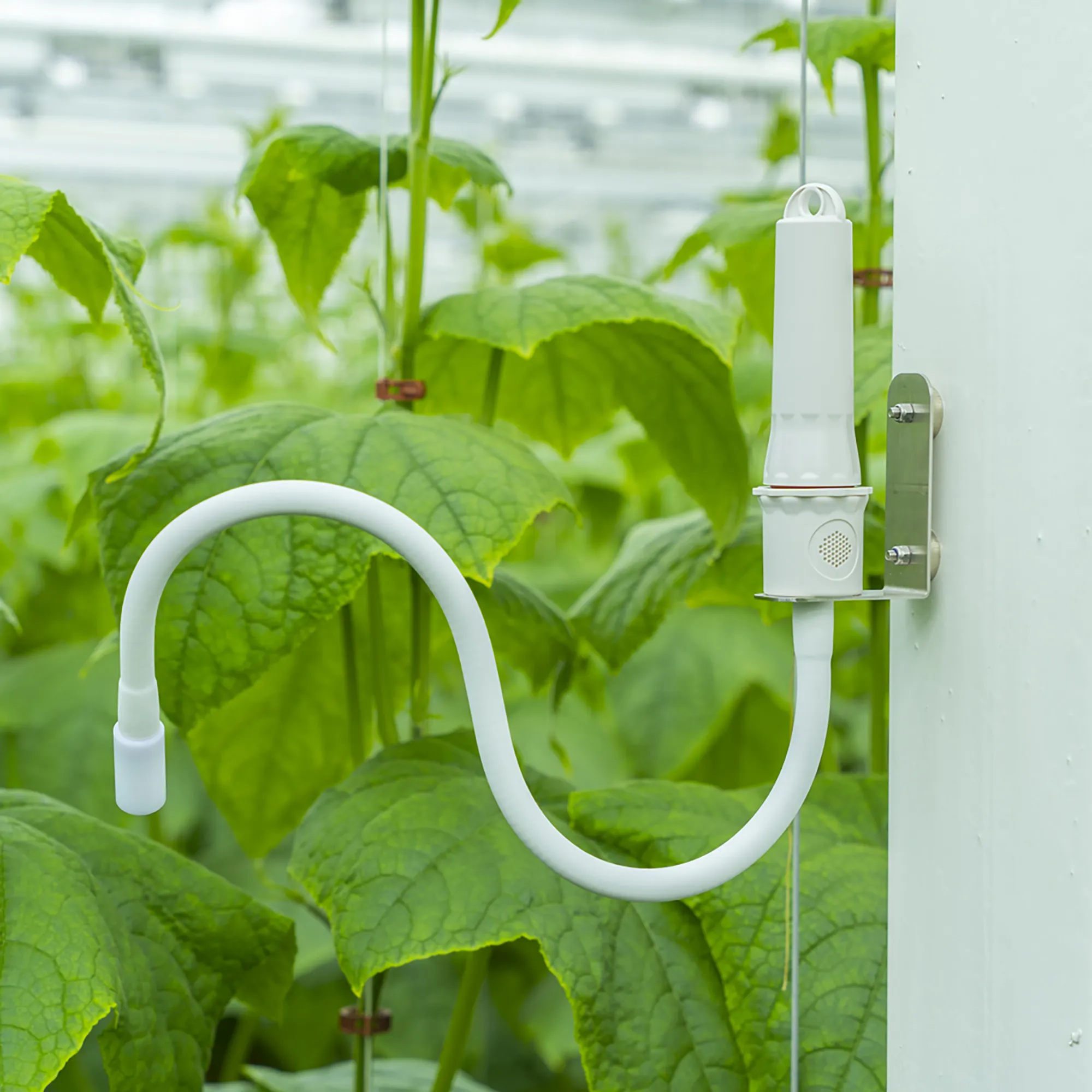 IR_plant_temperature_sensor