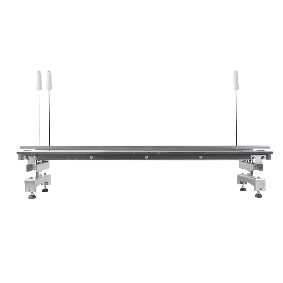 Aranet Slab Weight sensor