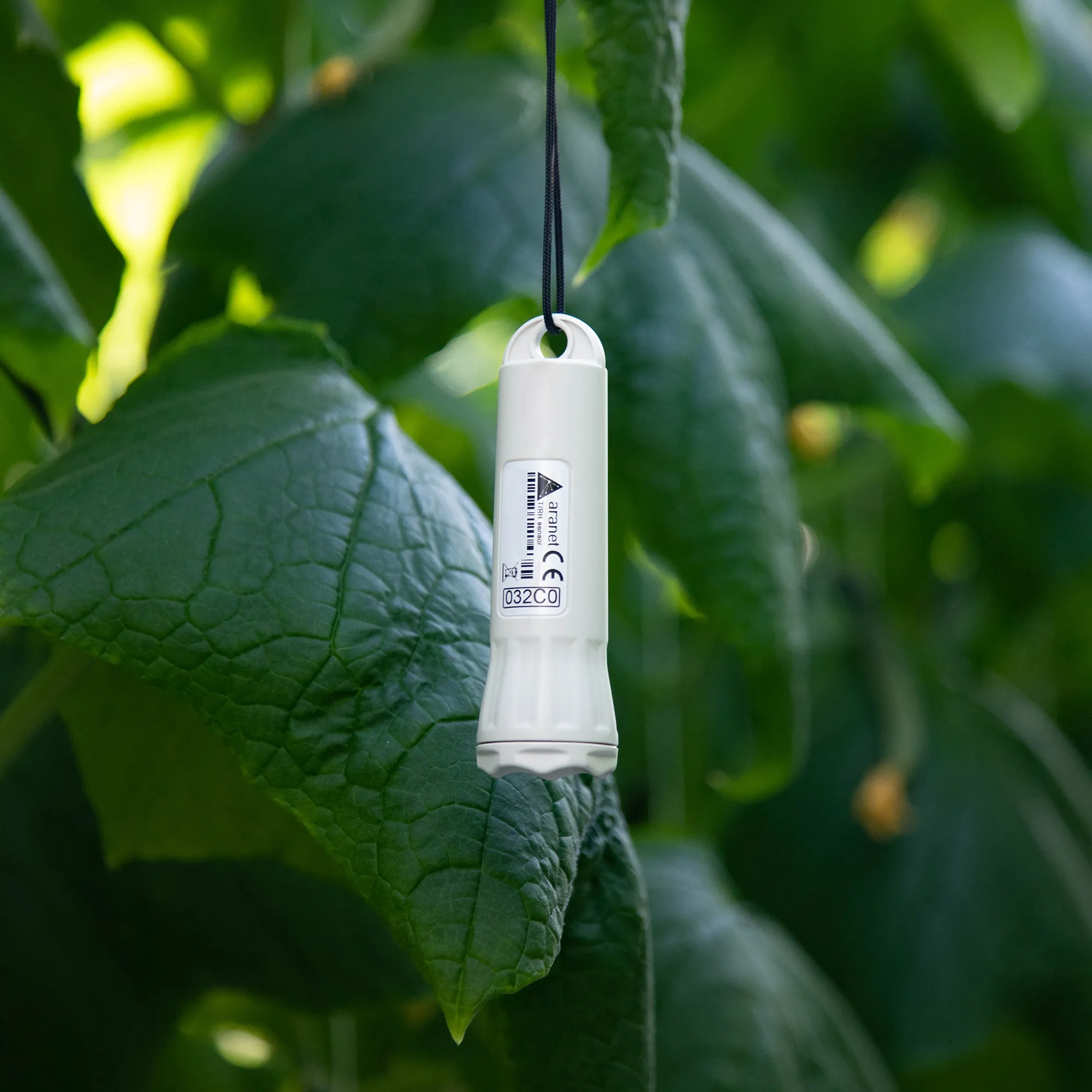 TRH_IP67_sensor