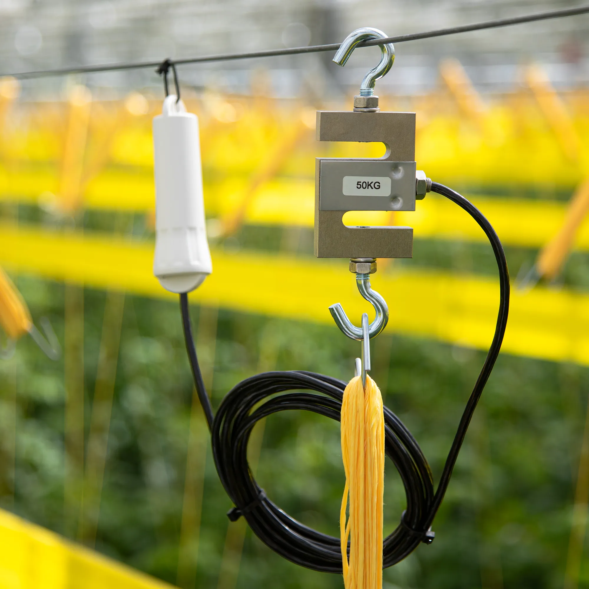 Weight_sensor