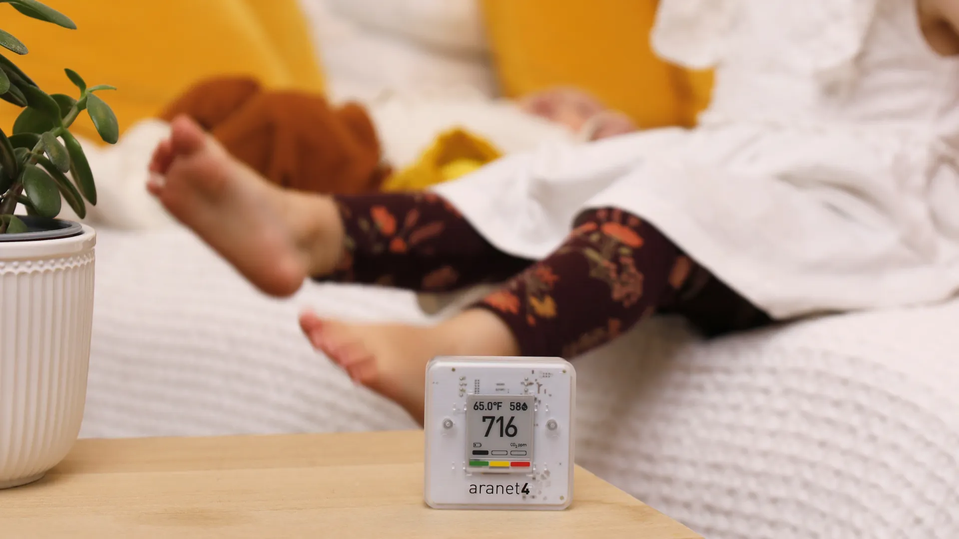 40-60% Humidity Rule: The Missing Variable Behind Sleep, Immunity, and Productivity